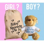 Personalised Gender Reveal Teddy Bear With Matching Gift Bag - Baby Kennedy Design - Boy Girl